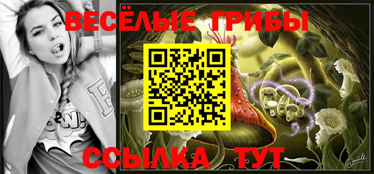 Псилоцибиновые грибы GOLDEN TEACHER Ртищево