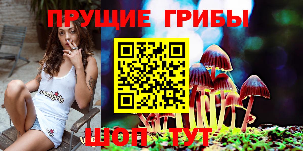 Ртищево  Галлюциногенные грибы прущие грибы  Вход с VPN 