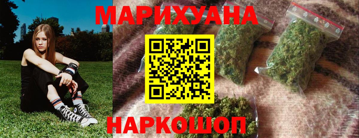 Конопля гибрид Ртищево